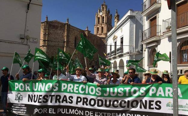 «Medidas contundentes» en Almendralejo si la administración no apoya al sector vitivinícola