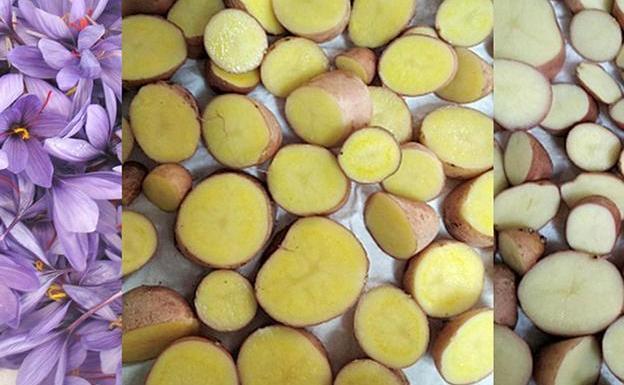 Crean una patata con azafrán que contiene más antioxidantes