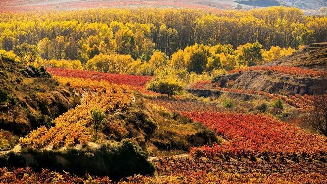 La Rioja, tierra de vinos