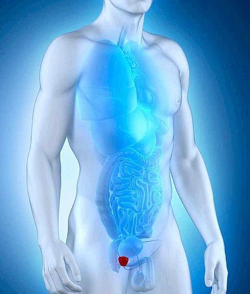 la prostata afecta el ano la prostata afecta el ano