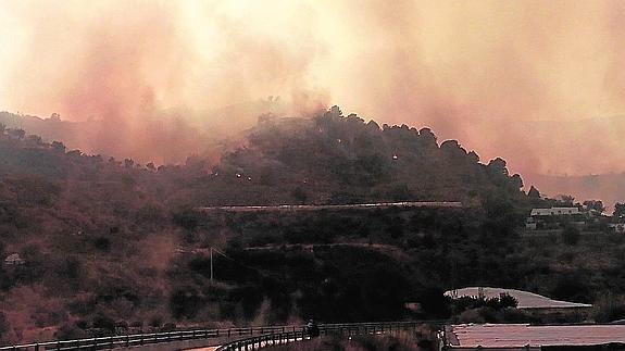 Casi 4.500 hectáreas calcinadas en los incendios de Castellón, Granada y Jaén