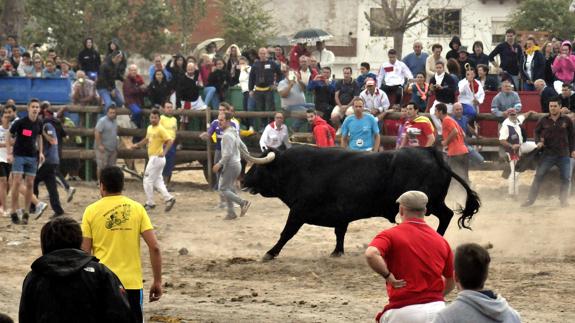 Tensión sin graves incidentes en el nuevo Toro de la Vega