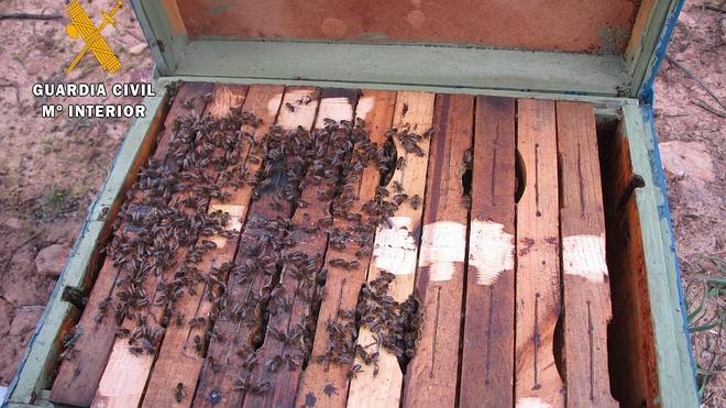 Un detenido por hurtar 37 colmenas en Castilblanco