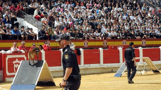 Exhibición canina en la plaza de toros de Mérida