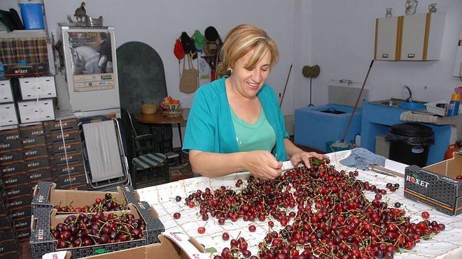 El entendido y el tonto