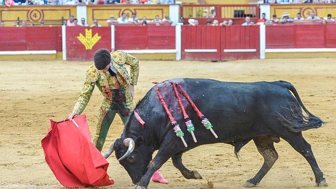 Triunfo con dolor de José Manuel Garrido en su despedida de Badajoz como novillero