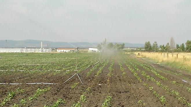 El Gobierno amplía en 8.440 hectáreas la zona regable en la zona centro