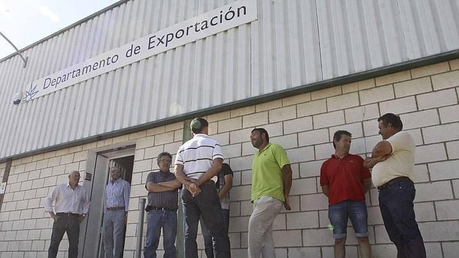 Acorex amenaza con sancionar a los agricultores que no entreguen su producto