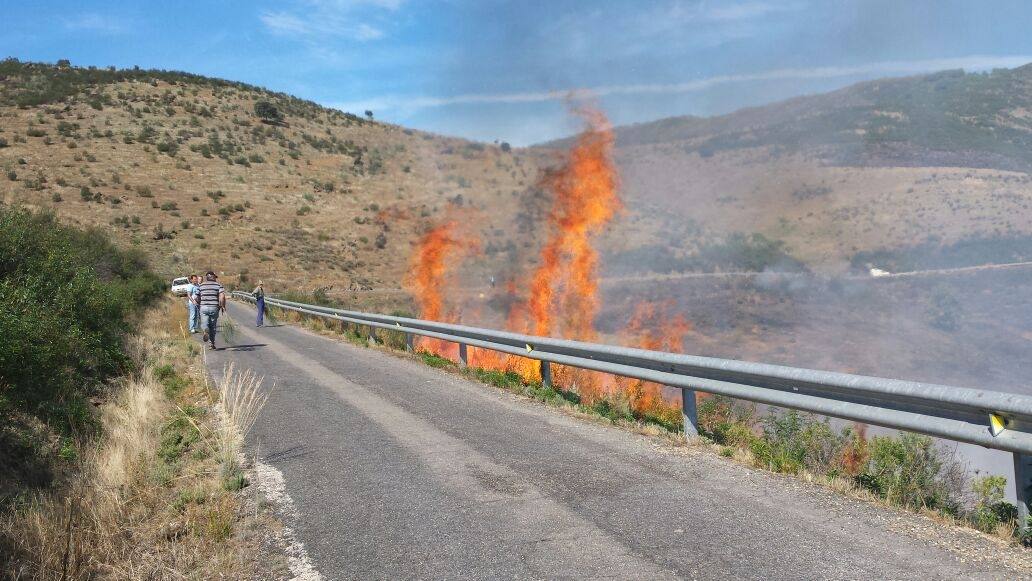 Intervienen dos helicópteros en un incendio en Logrosán