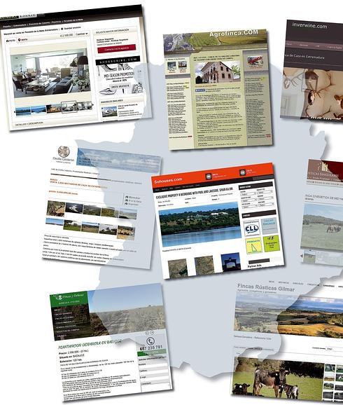 La dehesa extremeña, una inmobiliaria de lujo