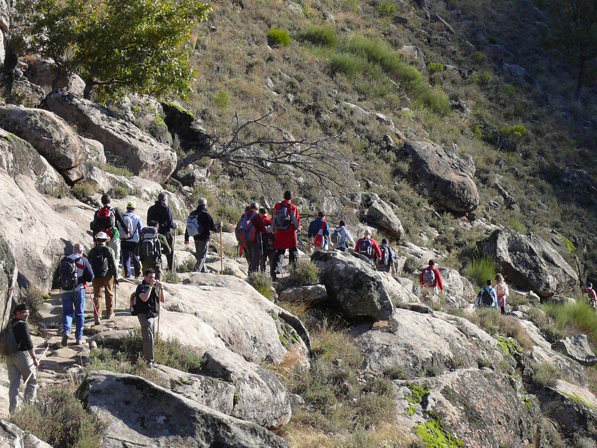Miles de personas rememorarán el 7 de febrero el último viaje del emperador Carlos V