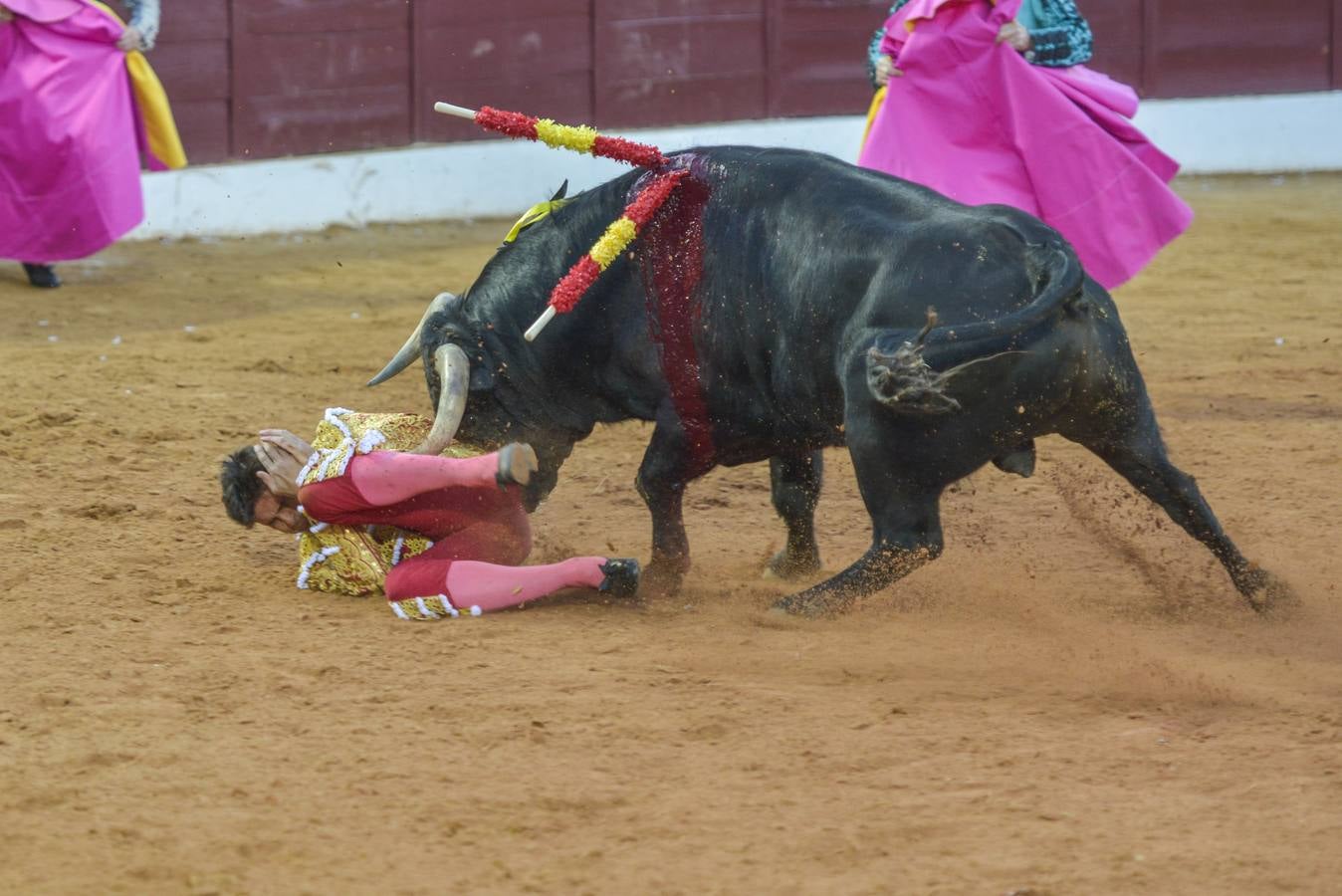 El susto de Paquirri en imágenes