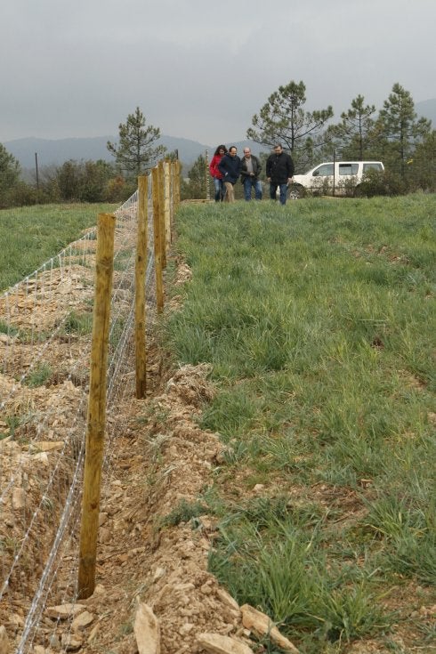 Bufé libre en Monfragüe