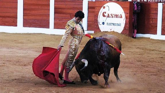 Juan Mora regresa a Plasencia en la feria de junio