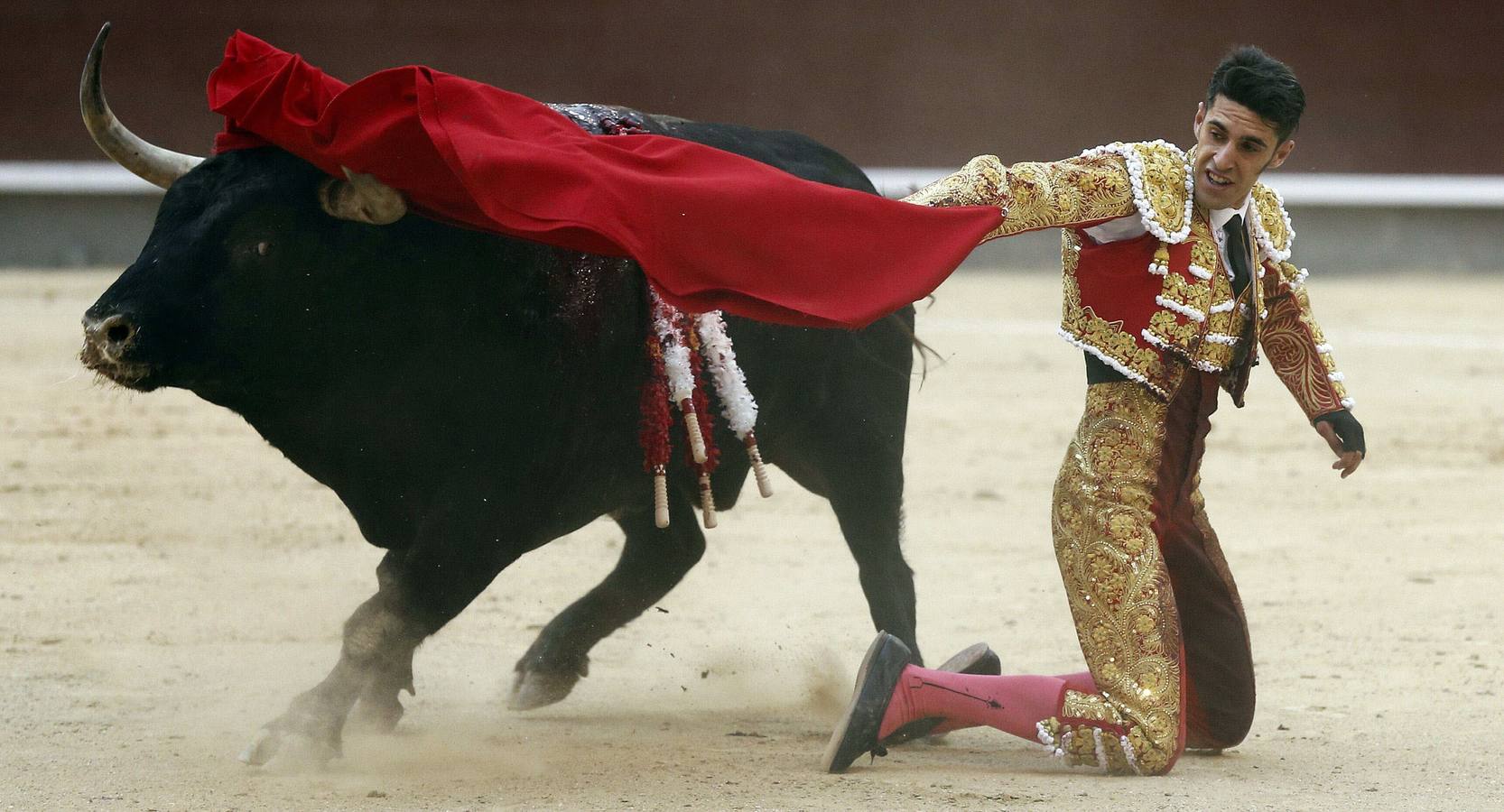 Talavante sustituye a Manzanares mañana en Plasencia