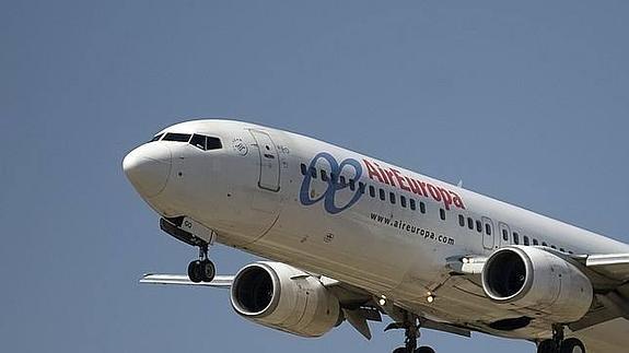 Air Europa, a juicio por la muerte de un perro en un vuelo Mallorca-Sevilla
