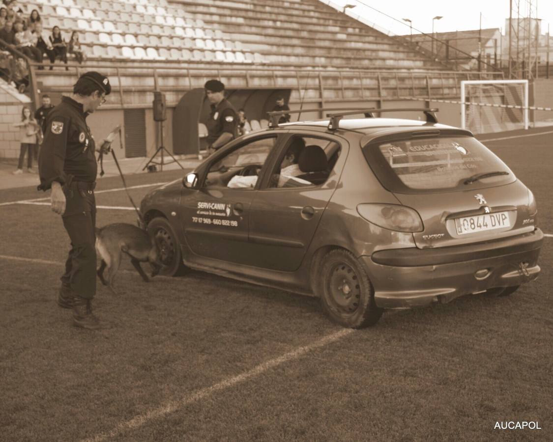 La unidad canina K9 local presente en la I Exhibición de Unidades Caninas de la Policía Local de La Palma del Condado
