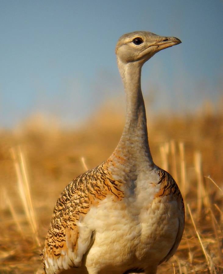 El Centro de Formación de Deportes Náuticos ofrece un taller de fotografía gratuito en diciembre