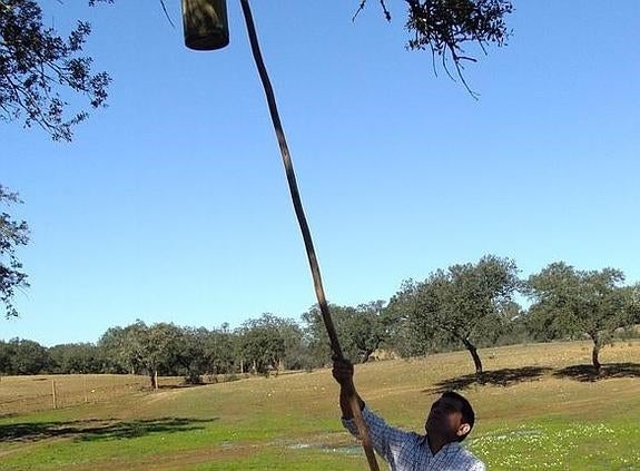 El 'mesías' de las dehesas