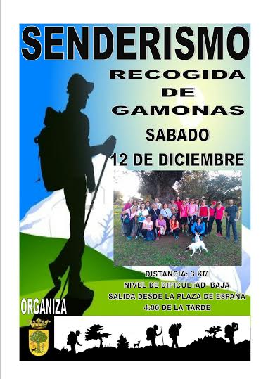 El Ayuntamiento organiza una ruta de senderismo para recoger gamonas