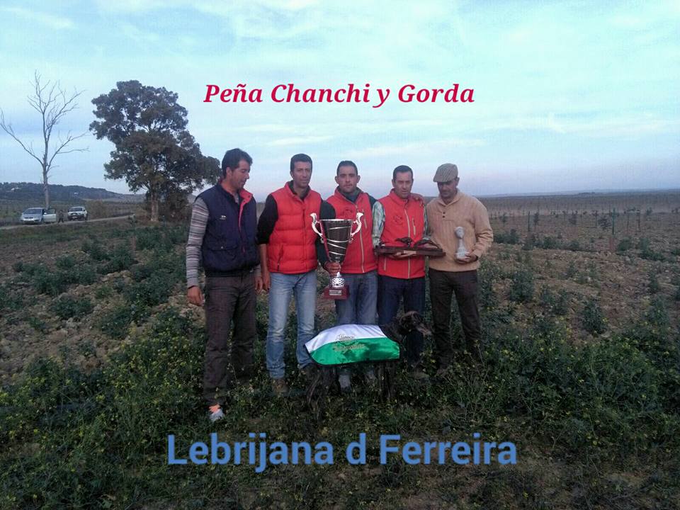 Una de las galgas de la peña ‘Chanchi y gorda’ correrá el campeonato de galgos nacional