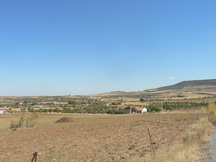 Abierto el plazo para solicitar las ayudas de mejoras en explotaciones agrarias