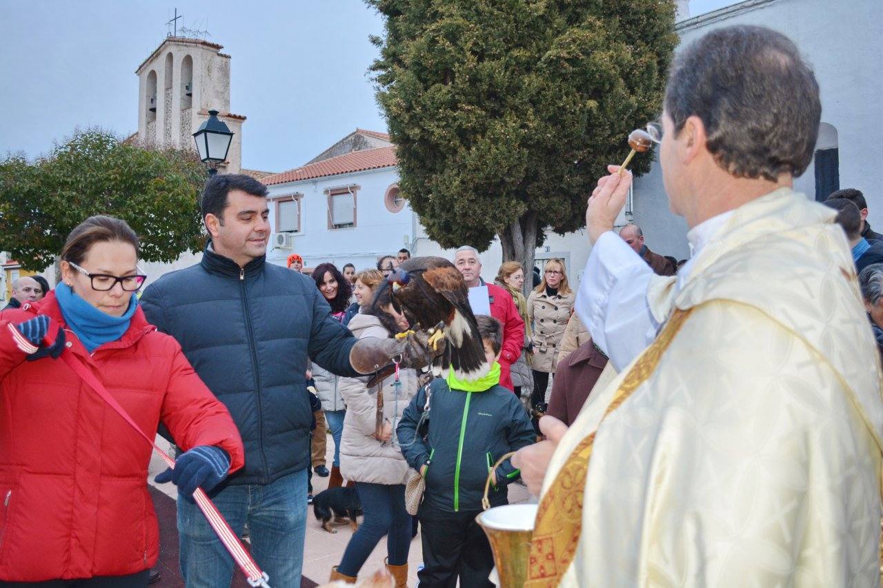 Con motivo de las fiestas de San Antón esta tarde tendrá lugar la bendición de animales