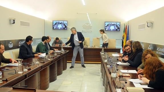 La comisión de investigación sobre Acorex y Caja Rural constituye de nuevo su Mesa con la inclusión del PP