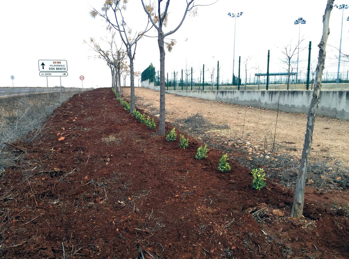 Comienzan las actuaciones del Plan de Renovación de zonas verdes municipales