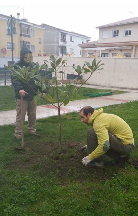 Un total de 30 árboles de diferentes especies se plantarán en la localidad