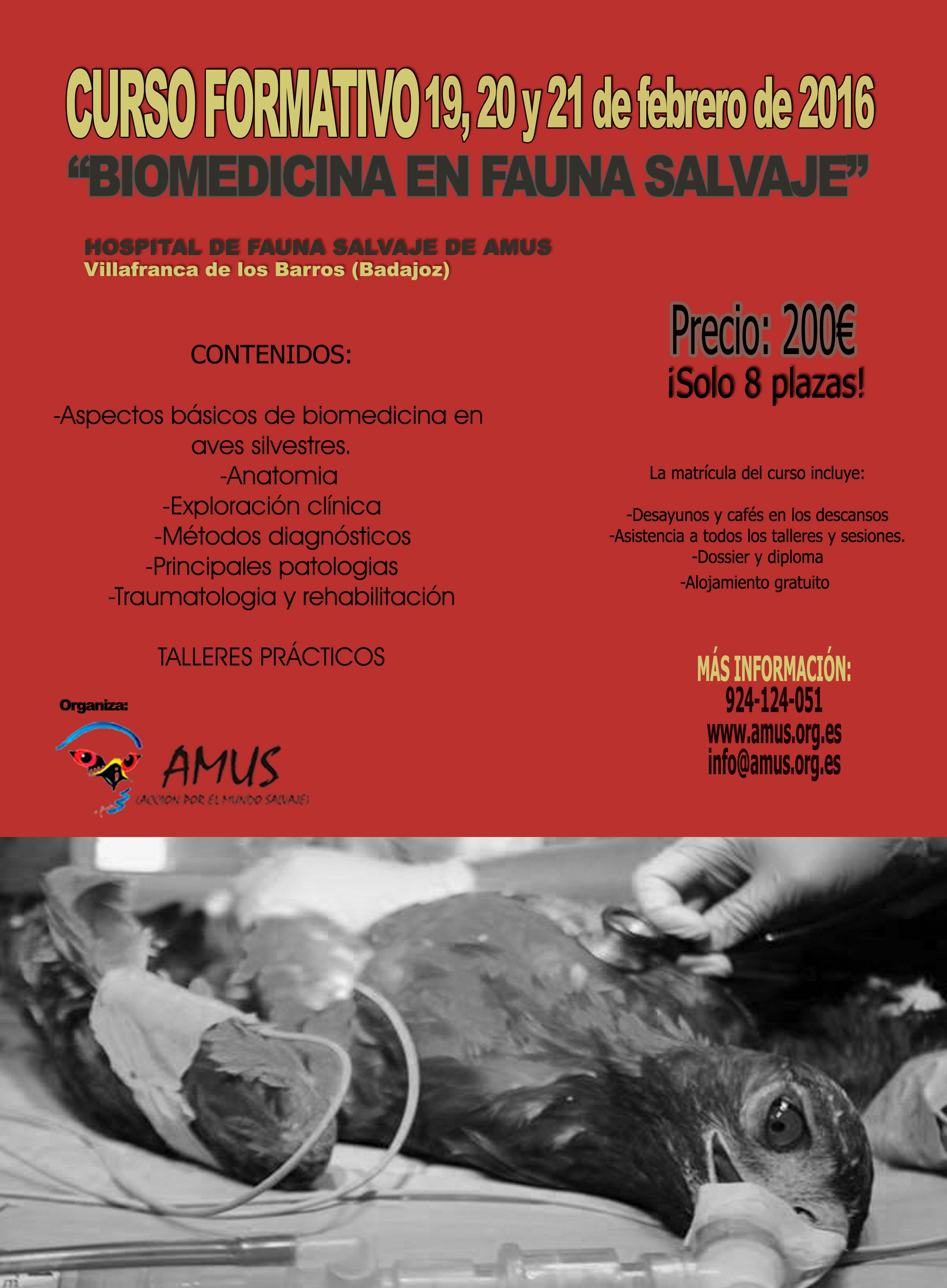 AMUS organiza un curso de biomedicina en fauna salvaje en su hospital de Villafranca