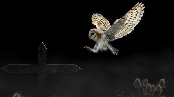 Aumentan los participantes internacionales en el concurso fotográfico de FIO