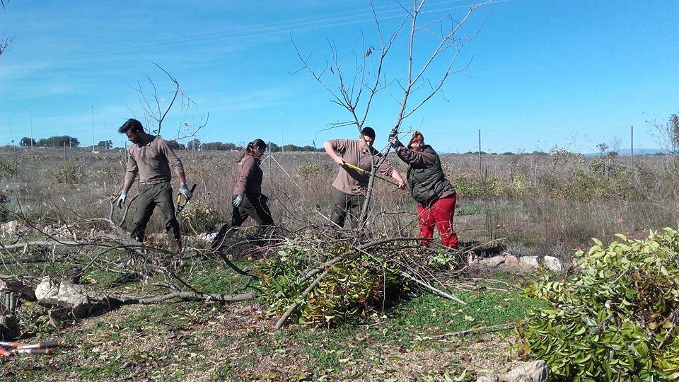 Los alumnos de jardinería del proyecto Aprendizext comienzan las prácticas al aire libre