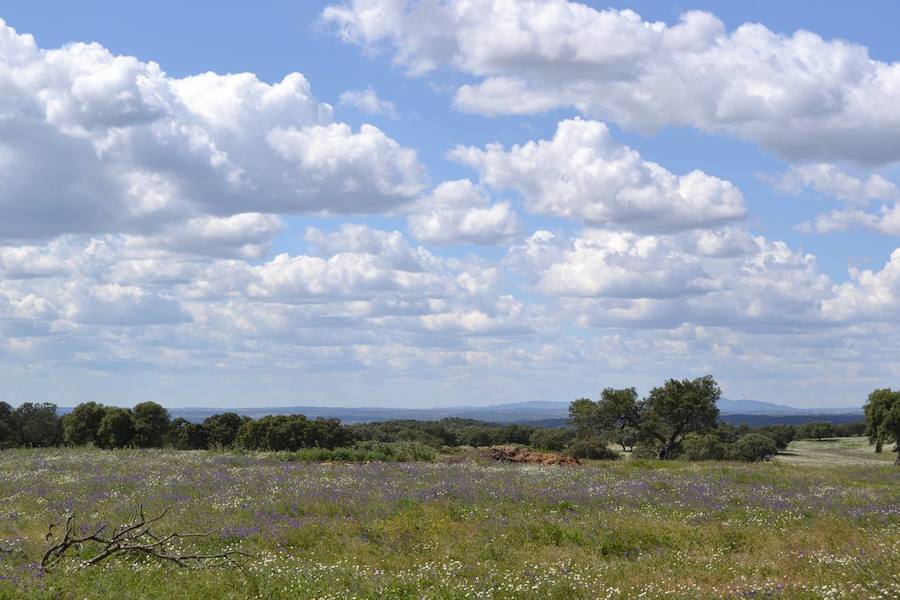La próxima Ruta de senderismo incluirá un concurso de fotografía de paisaje