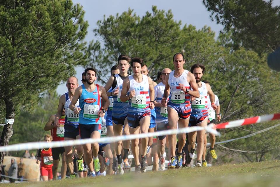 El CAPEX pone rumbo a Zarzuela