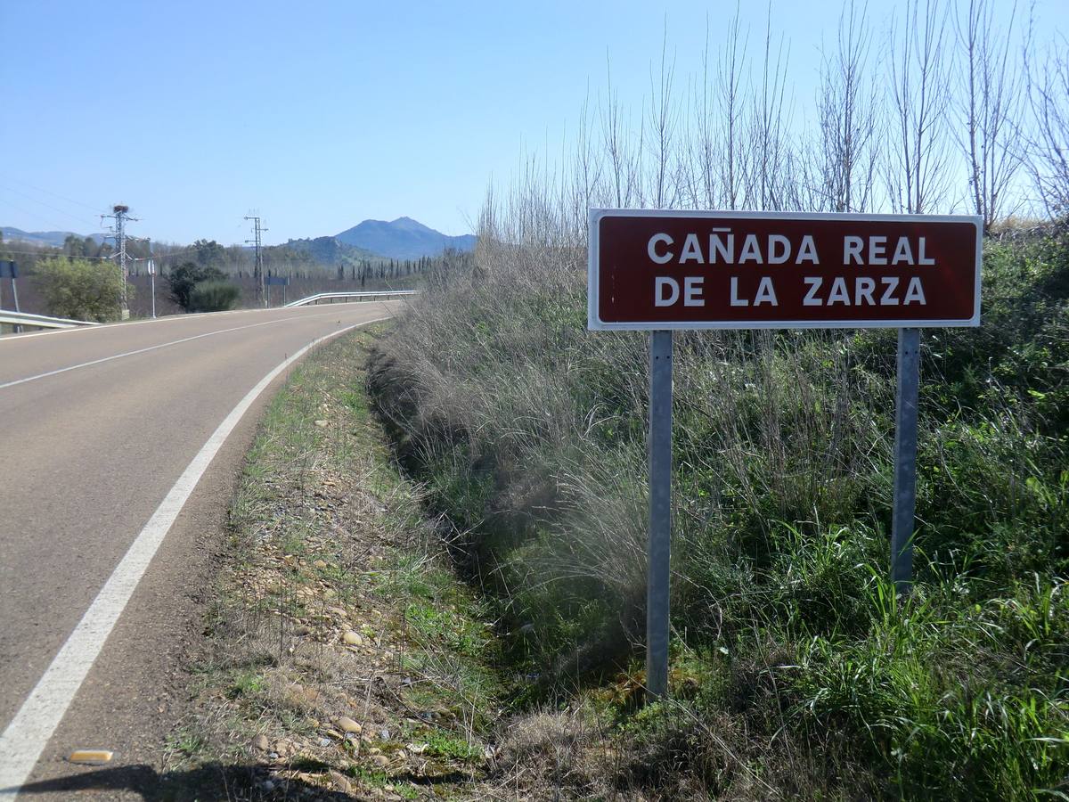 Estudio de las vías pecuarias en el término municipal de La Zarza