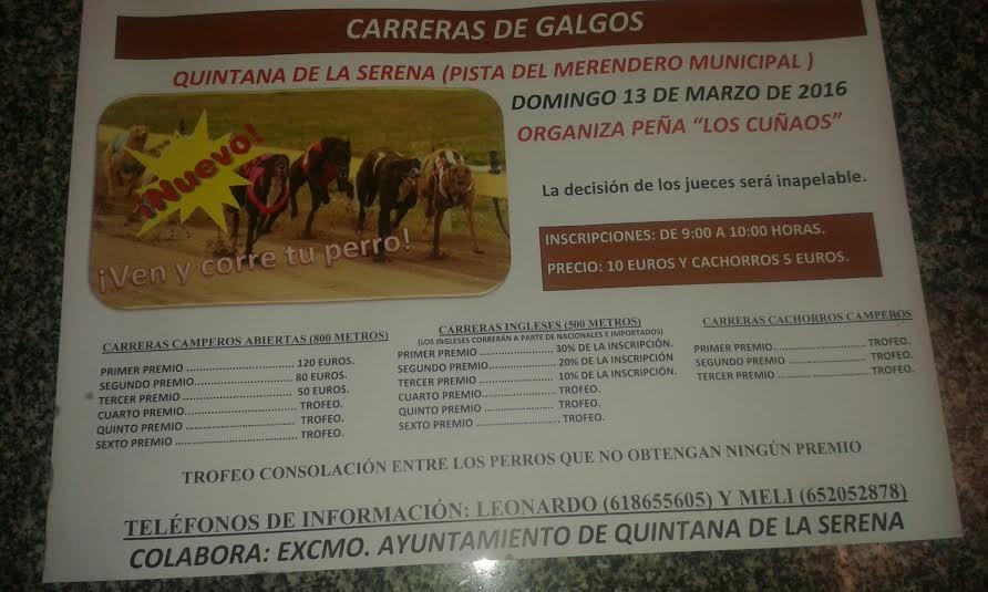 La pista del merendero municipal acogerá el próximo 13 de marzo una carrera de galgos