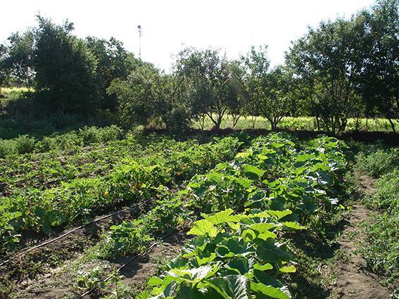 El Corral de Comedias acogerá un seminario de agroecología y desarrollo territorial el 18 de marzo