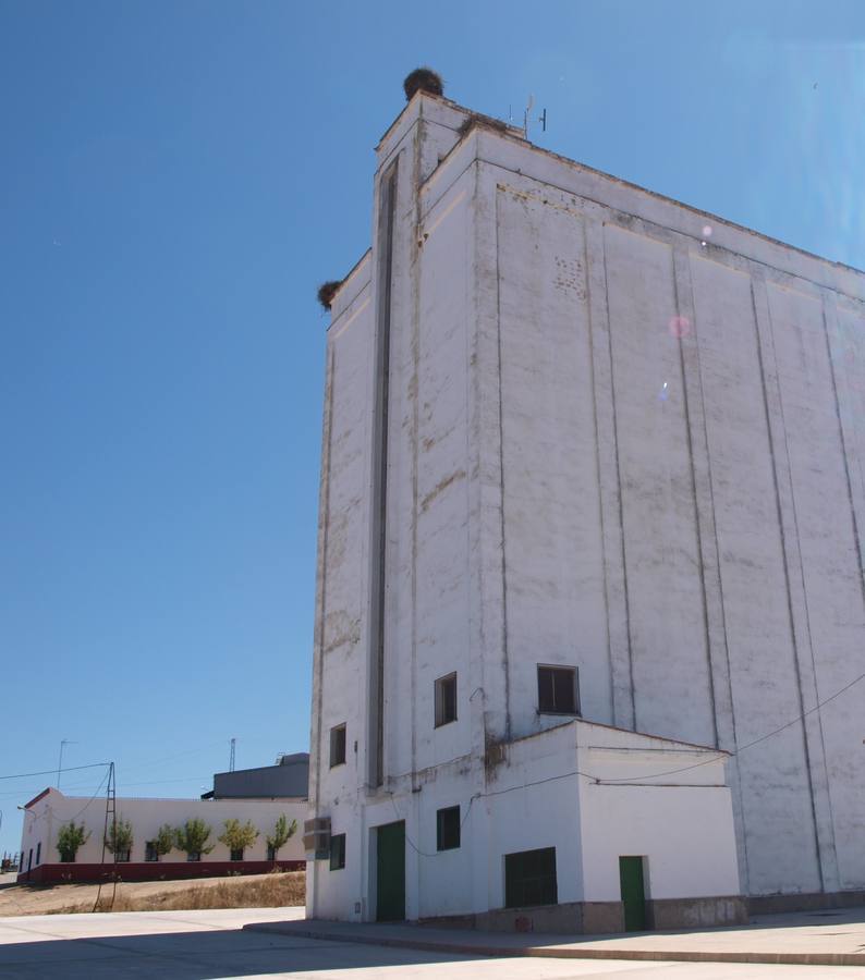 El Damas línea Villanueva-Badajoz cambia su parada al silo debido a la instalación de stands