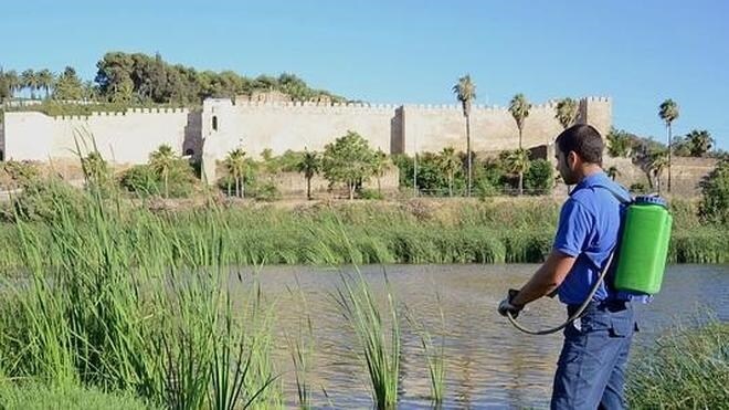 Extremadura inicia una lucha contra el glifosato