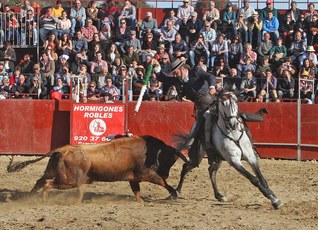 Cuatro orejas para Moura y dos para Manzanares en la corrida de rejones