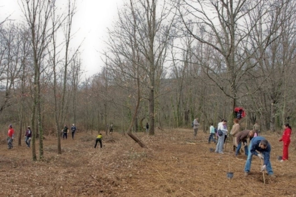 Jovenes de la localidad participan en el programa "plantabosques" en Sierra de Gata