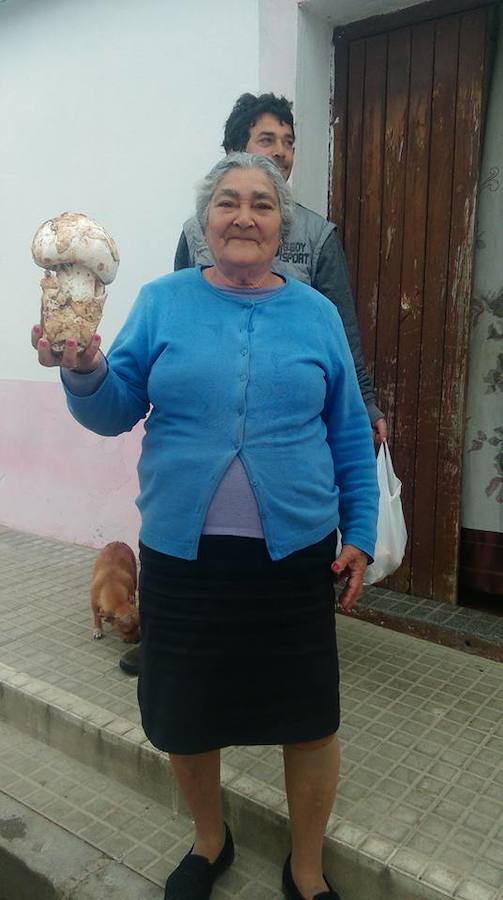 La familia Verón ha recolectado un ejemplar de gurumelo de 800 gramos