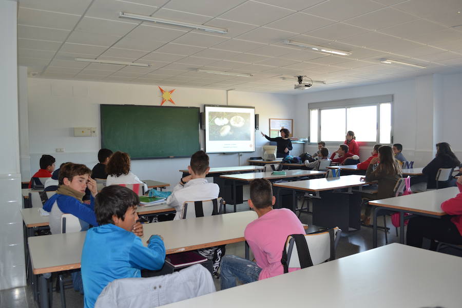 28 estudiantes del IESO San Ginés han participado en la Jornada Micológica organizada por la Concejalía de Educación