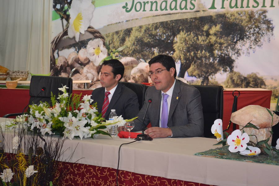 El Gurumelo aspira a convertirse en Fiesta de Interés Turístico Regional