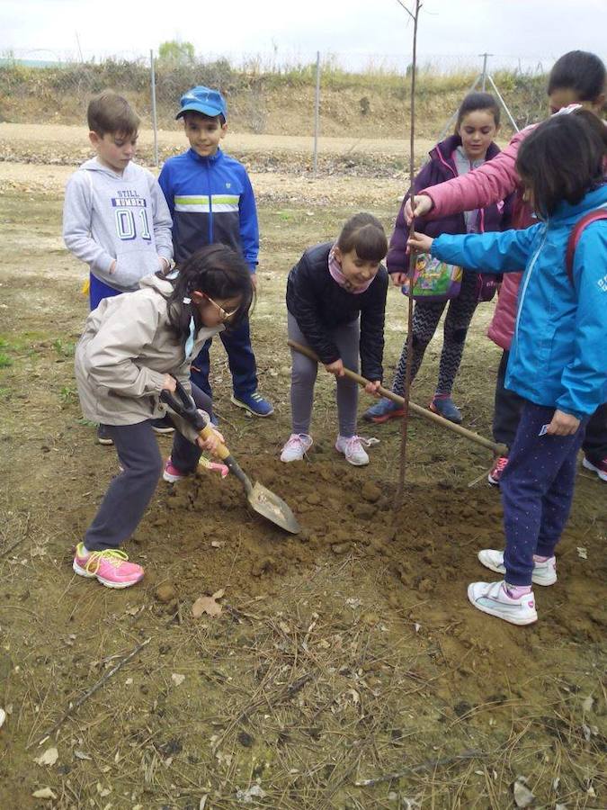 Los alumnos del colegio público plantaron árboles en el Merendero Municipal