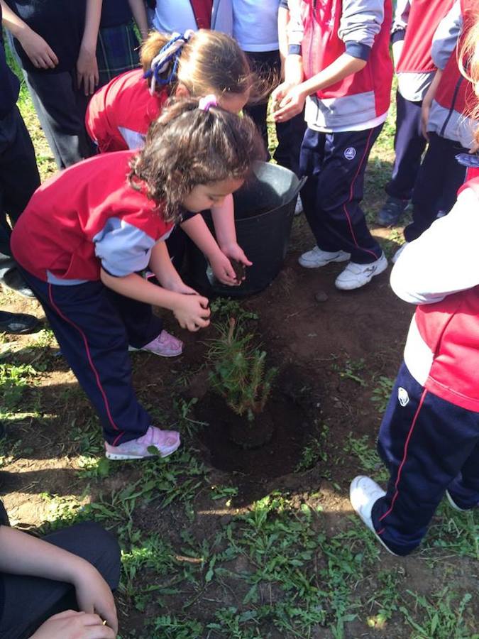 El colegio Nuestra Señora de los Dolores acogió la actividad “Plantar un árbol entre todos”