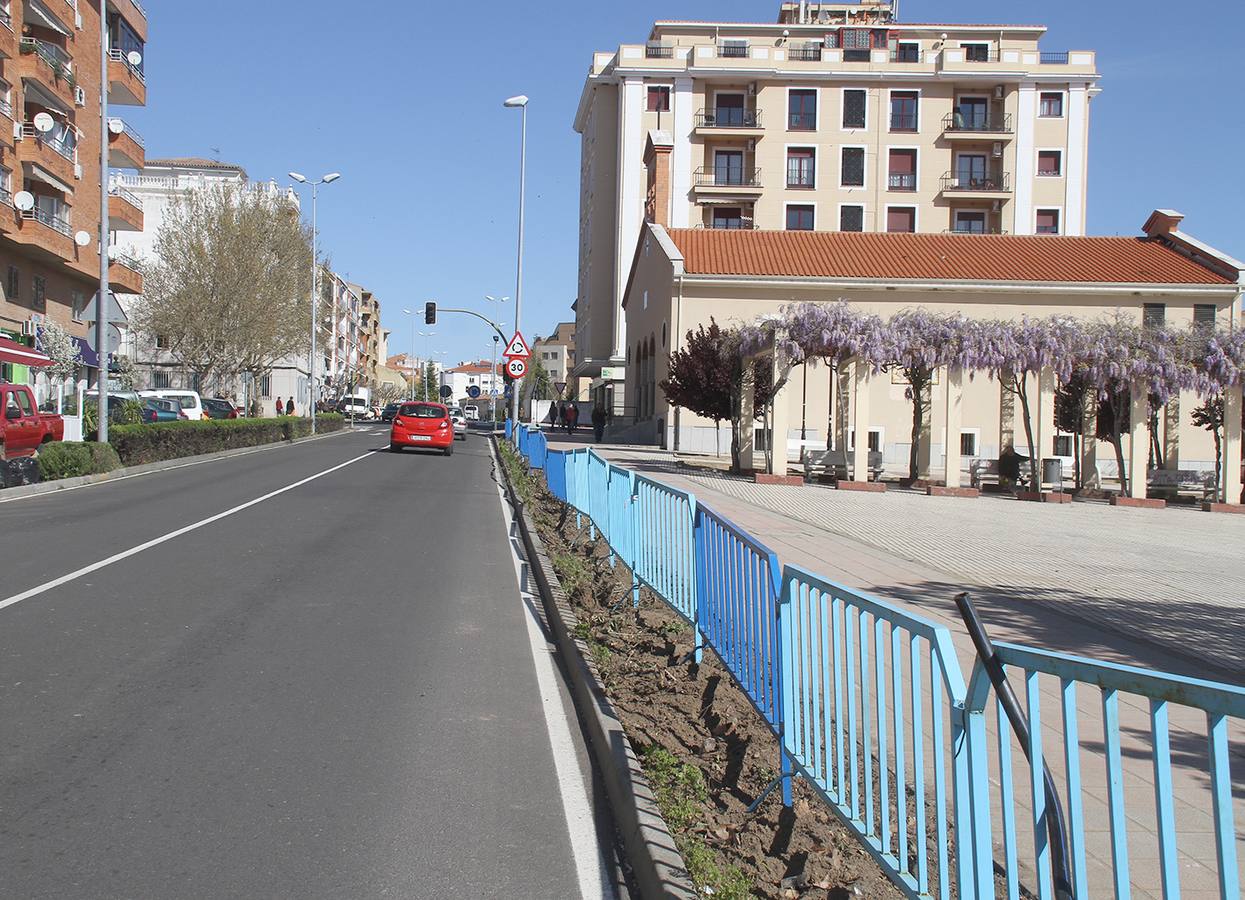 Retiran los setos de las avenidas