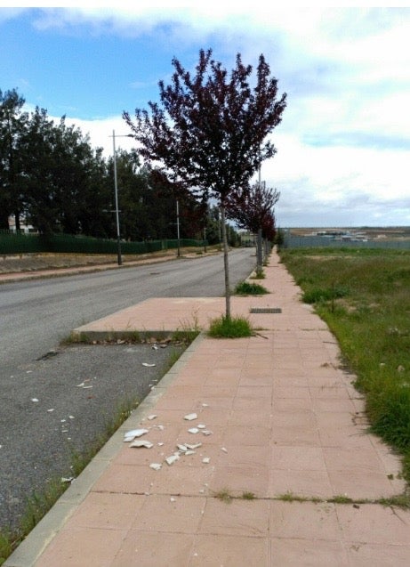 El PP denuncia el abandono en que se encuentran el nuevo vial de El Ejido y buena parte del Parque Público