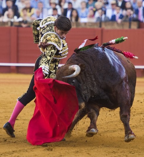 Una faena emocionantísima del diestro extremeño José Garrido
